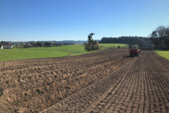 Kartoffeln stecken 2019