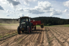 Kartoffelernte 2019