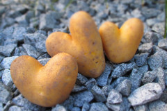 Kartoffelherz_1